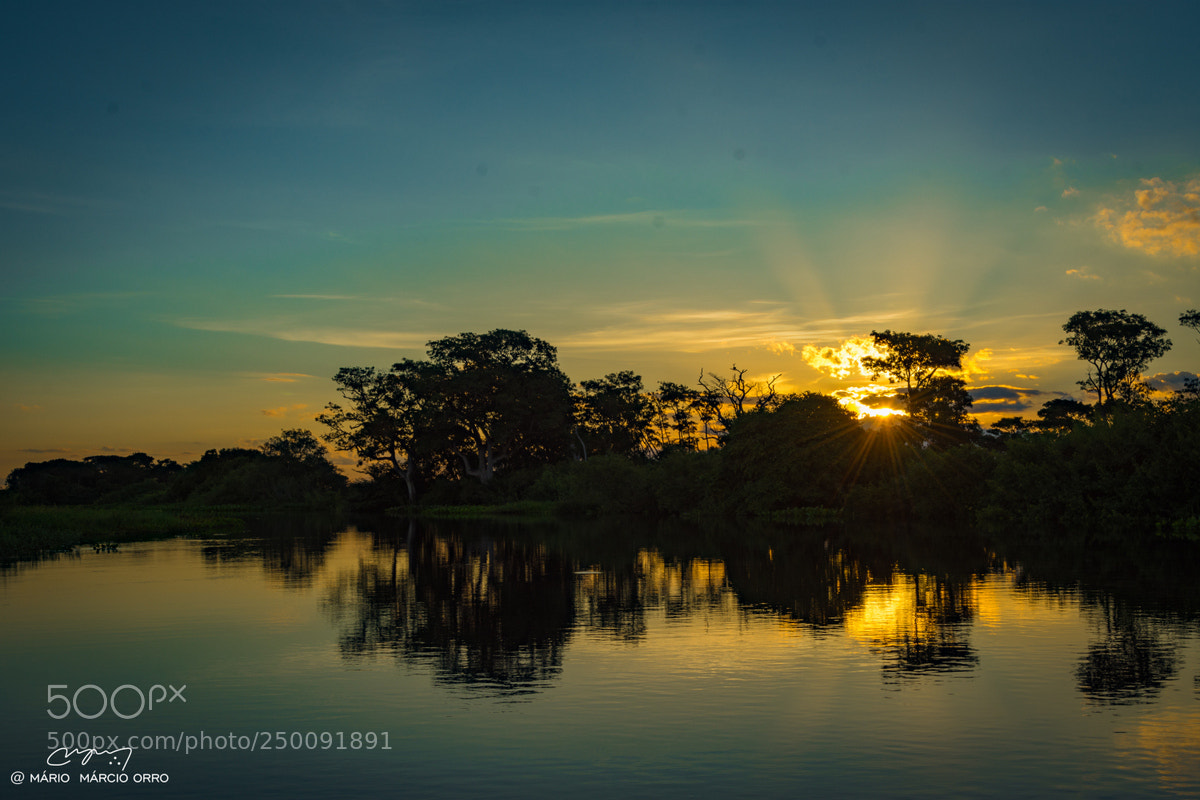 Nikon D7200 sample photo. Pantanal - brazil photography
