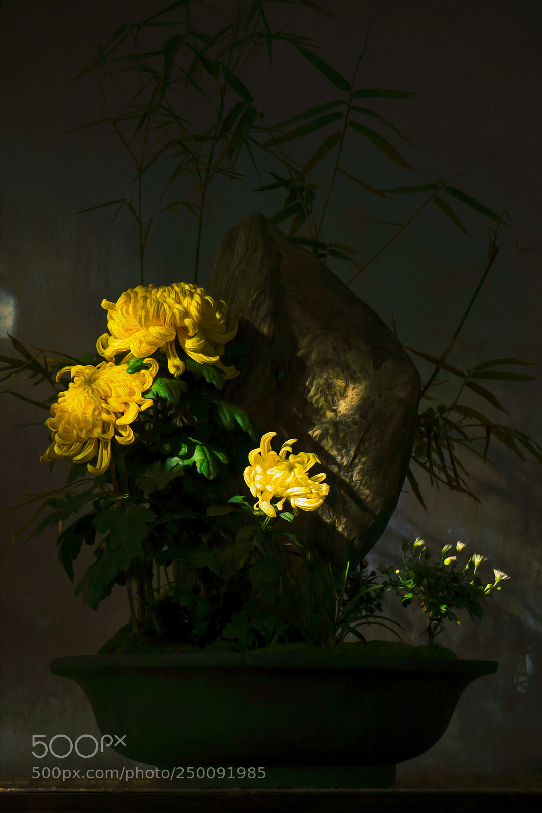Sony a6000 sample photo. Untitled photography