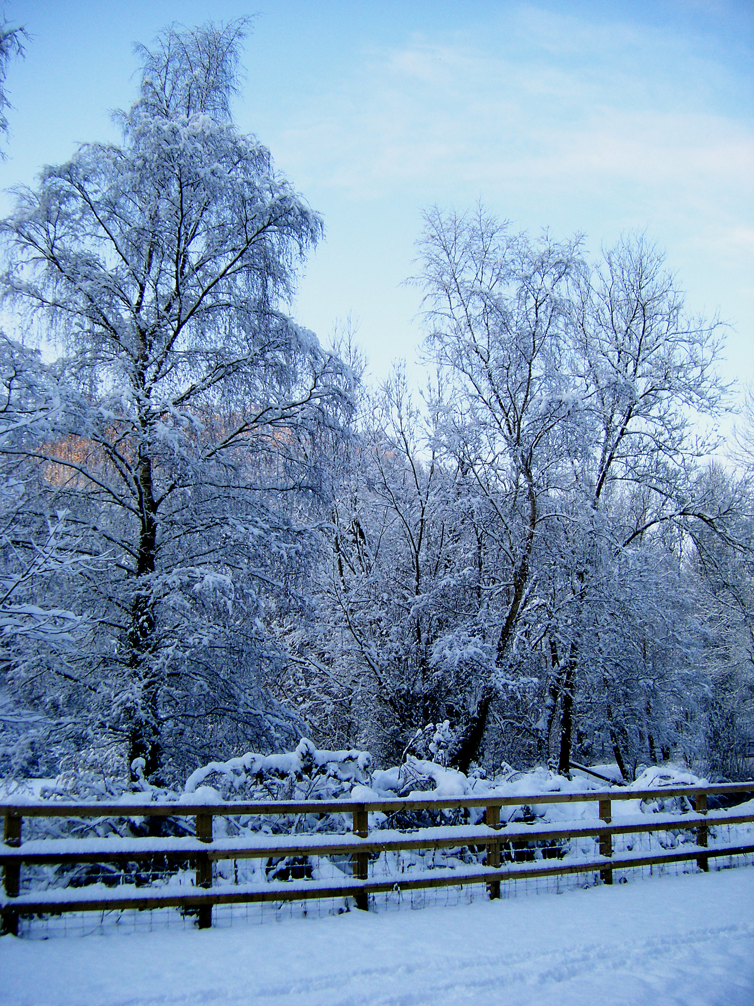 Fujifilm FinePix Z10fd sample photo. Yeovil in snow photography