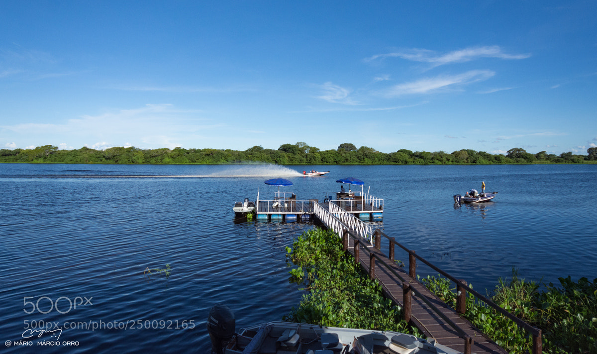 Nikon D7200 sample photo. Pantanal - brazil photography