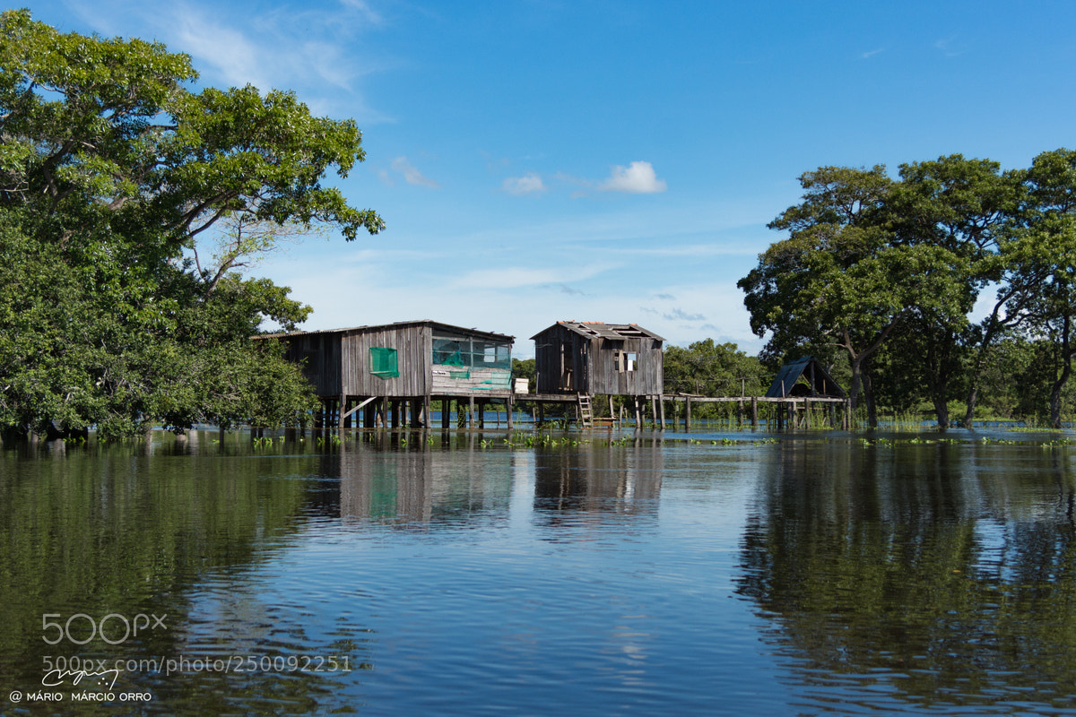Nikon D7200 sample photo. Pantanal - brazil photography