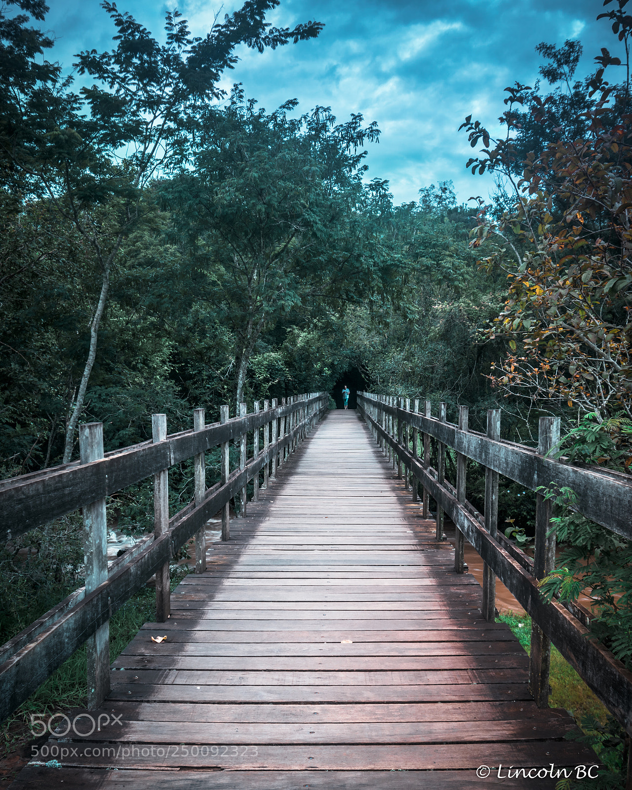 Nikon D5300 sample photo. Ponte photography