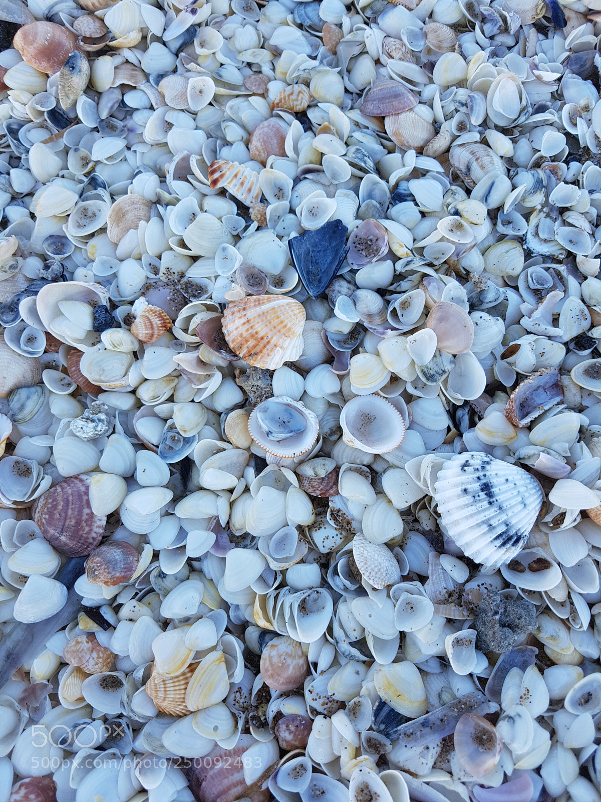 Samsung Galaxy S7 sample photo. Beach photography