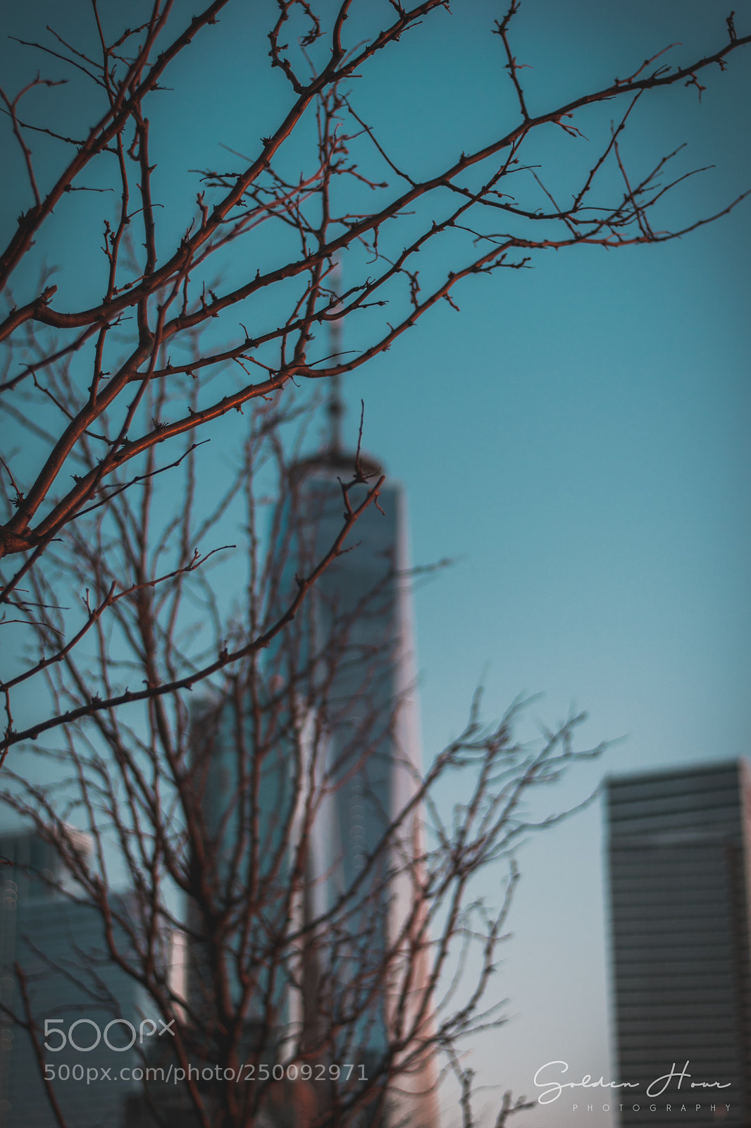 Nikon D5300 sample photo. The one world trace photography