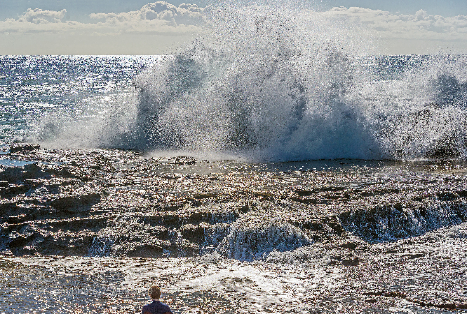 Nikon D610 sample photo. Wild pacific photography