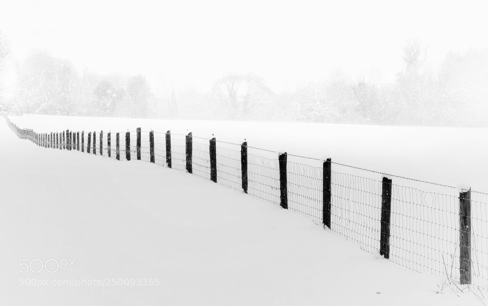 Fujifilm X30 sample photo. White out photography