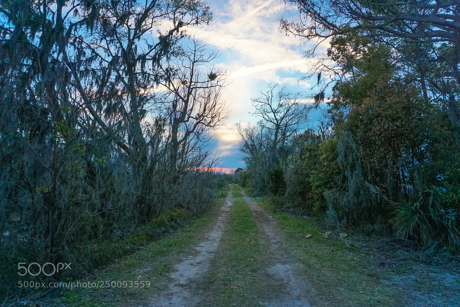 Sony a6000 sample photo. The road less traveled photography