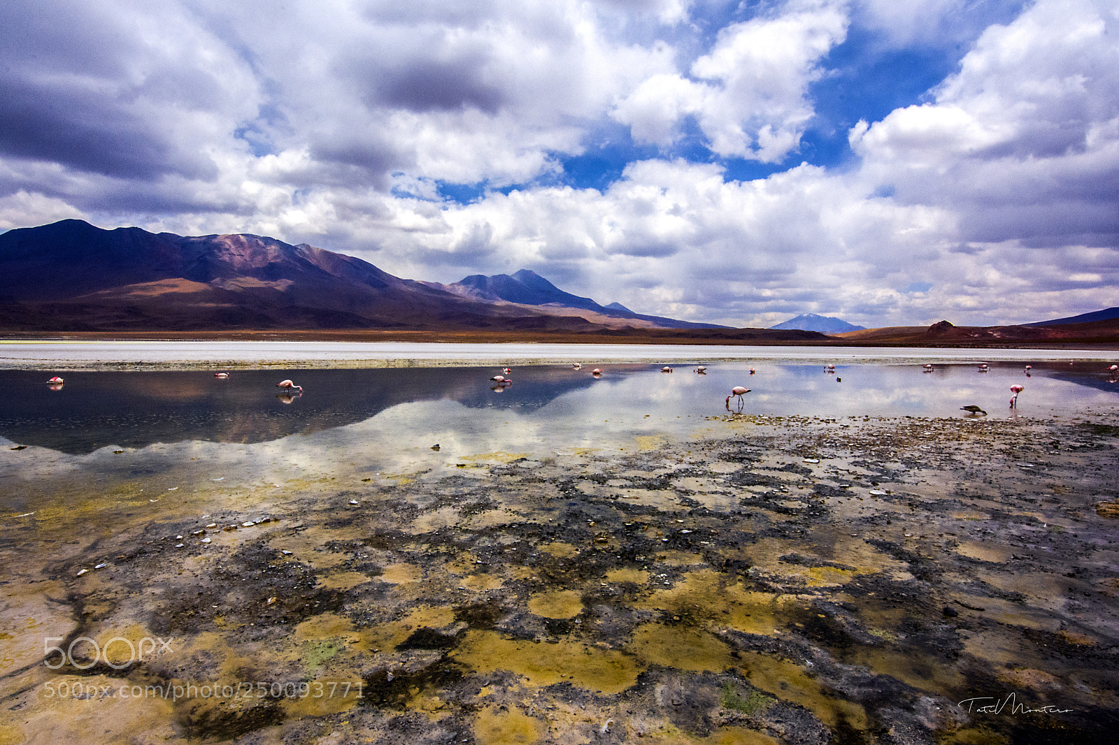 Nikon D7100 sample photo. Laguna hedionda photography