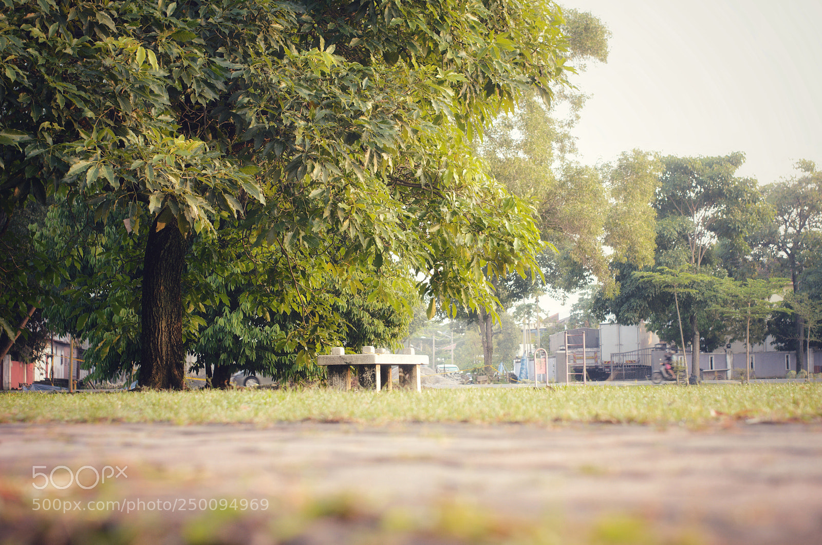 Nikon D3200 sample photo. Lonely bench photography