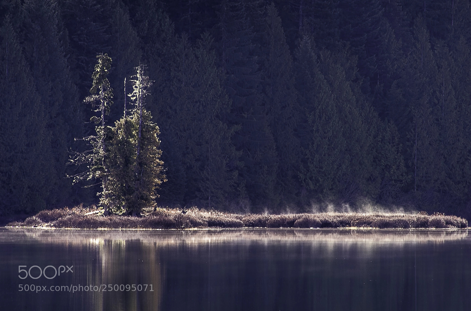 Sony a7R sample photo. Morning sun photography
