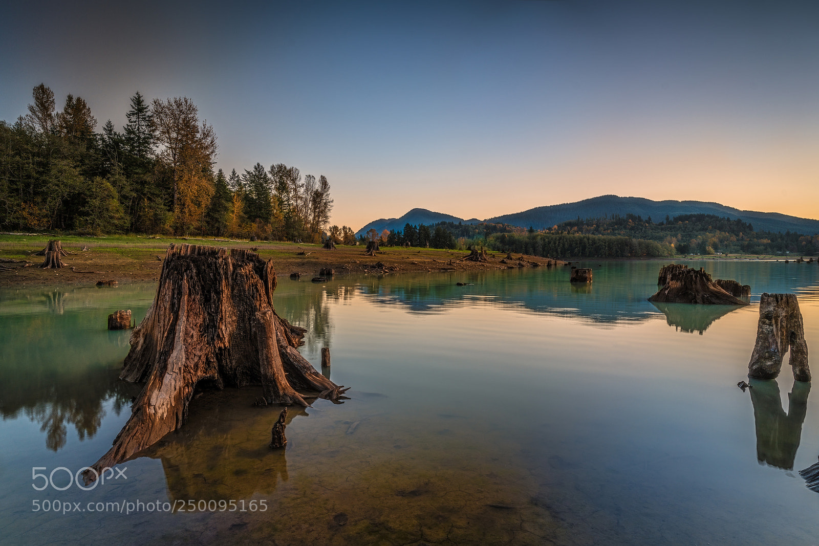 Sony a7R II sample photo. Stump photography