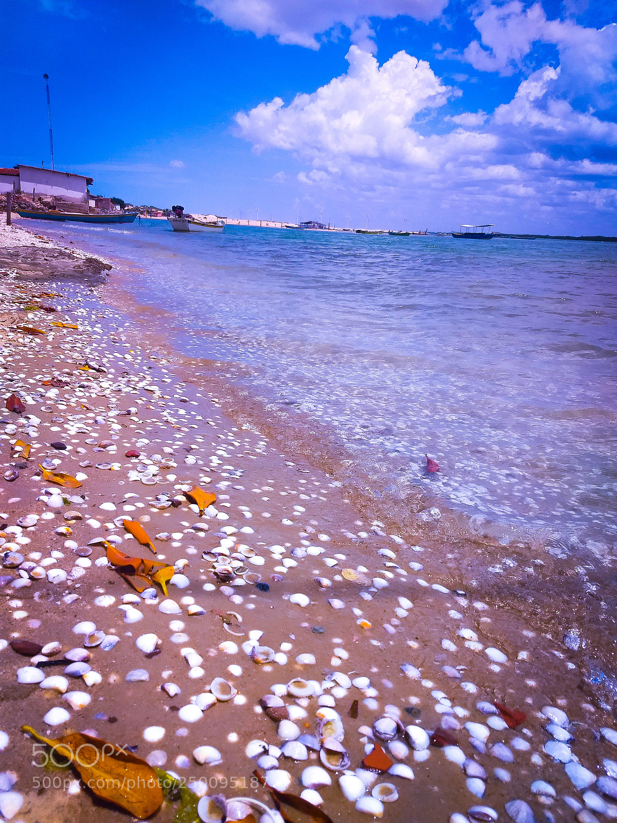 Motorola Moto Z (2) Play sample photo. Sea of shells photography