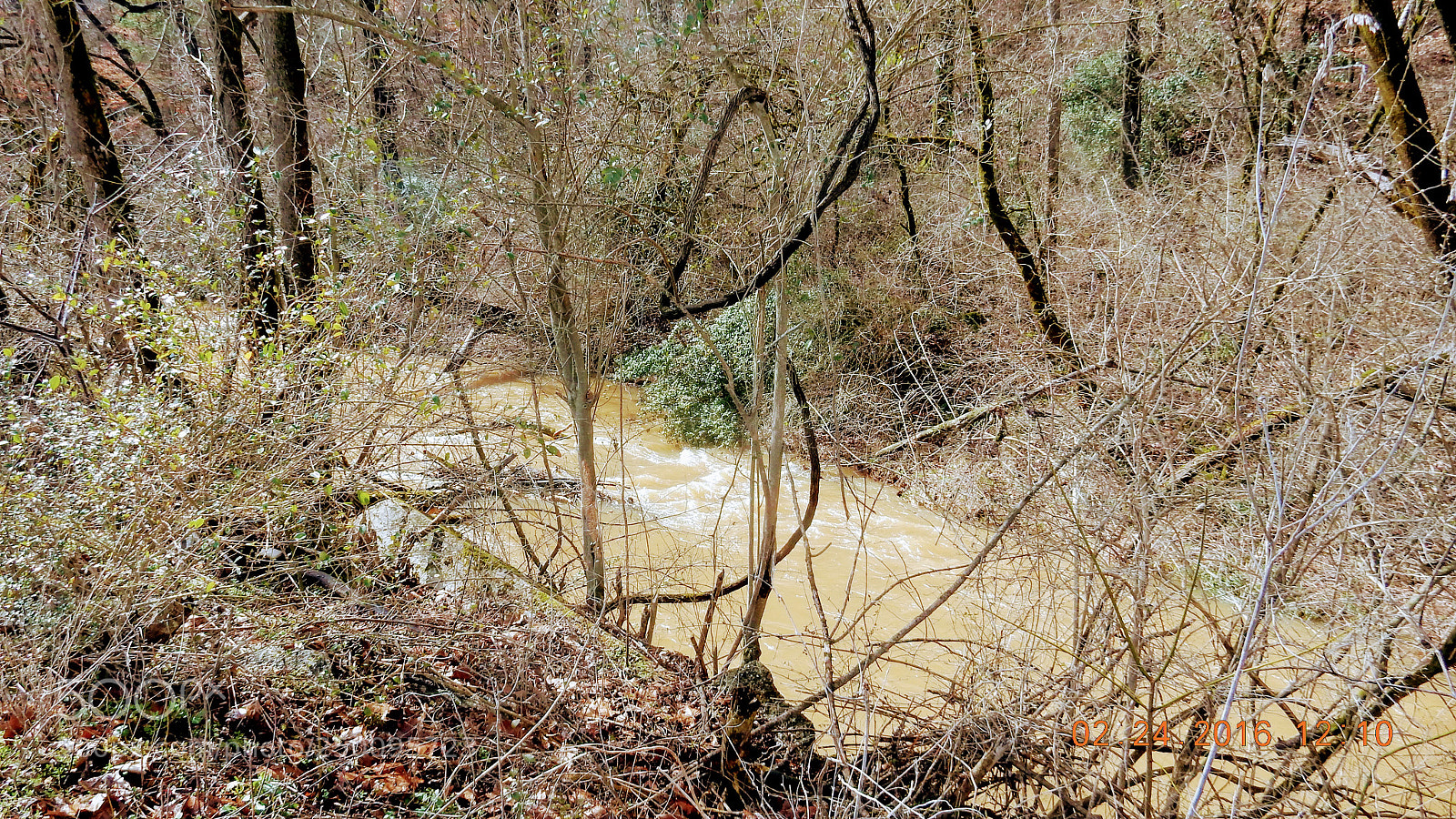 Nikon Coolpix S9900 sample photo. A stream runs photography