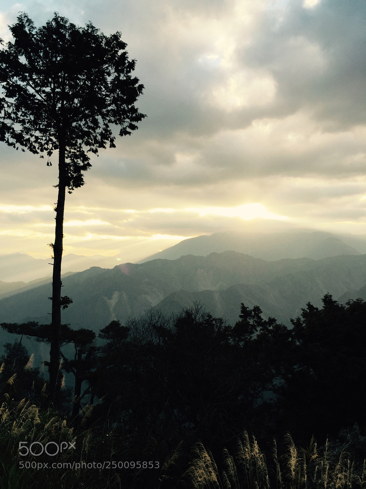 Apple iPhone 6 Plus sample photo. Sunrise at alishan photography