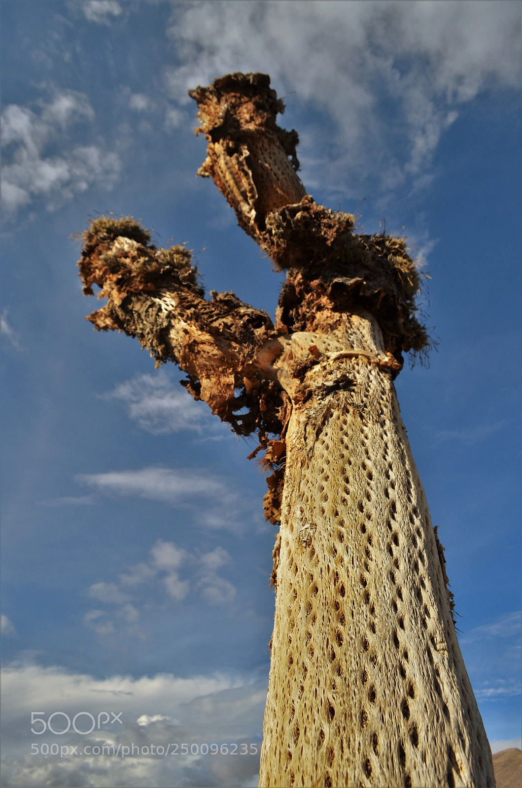 Nikon D5100 sample photo. Untitled photography