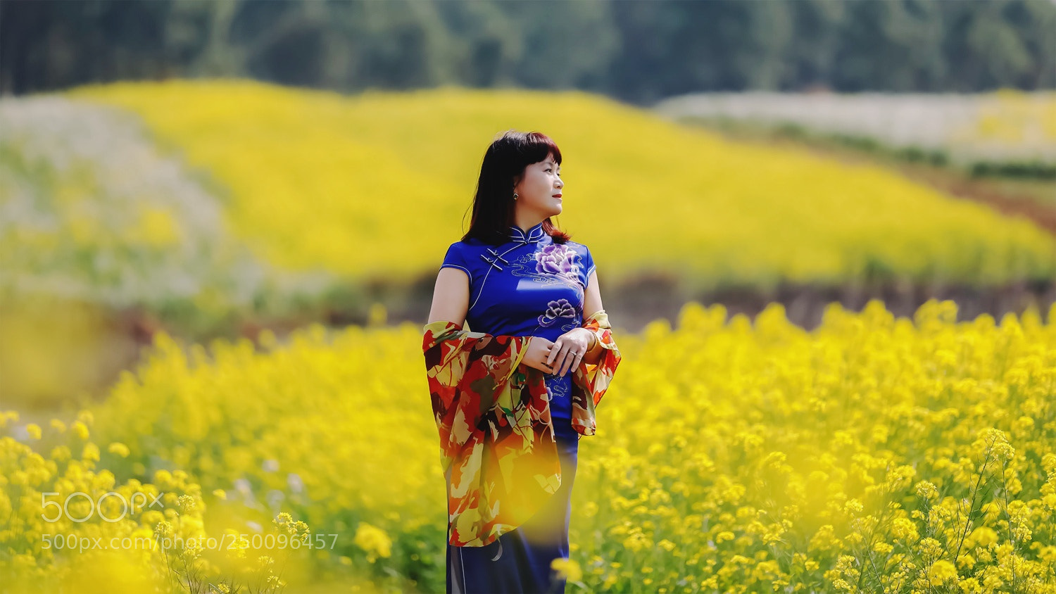 Canon EOS 5D Mark IV sample photo. Untitled photography