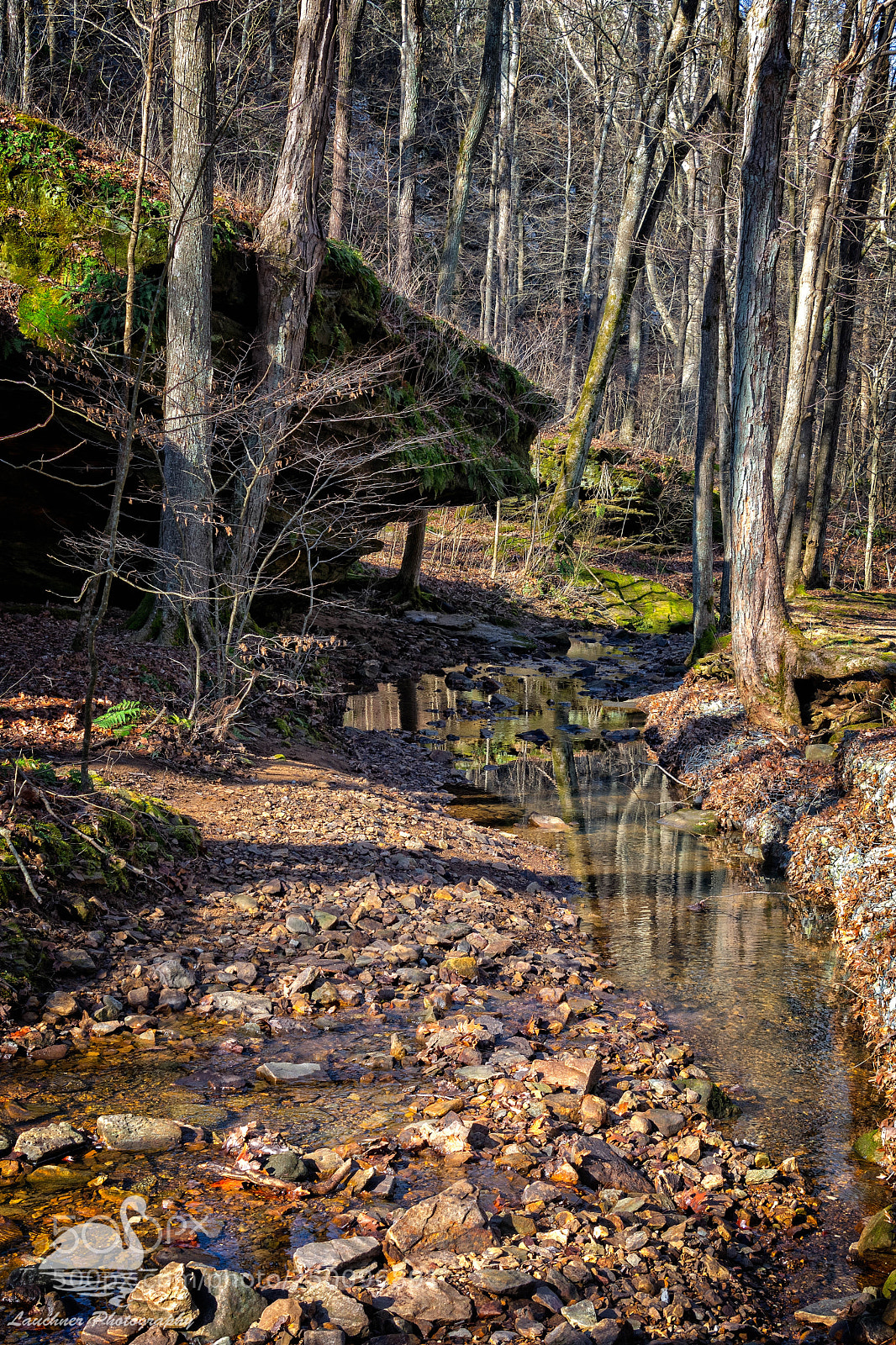 Nikon D5200 sample photo. Trailside stream photography