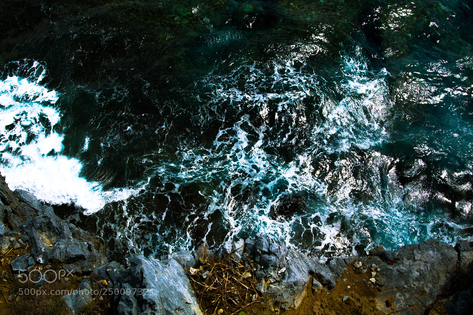 Canon EOS 70D sample photo. Fuzzy photography