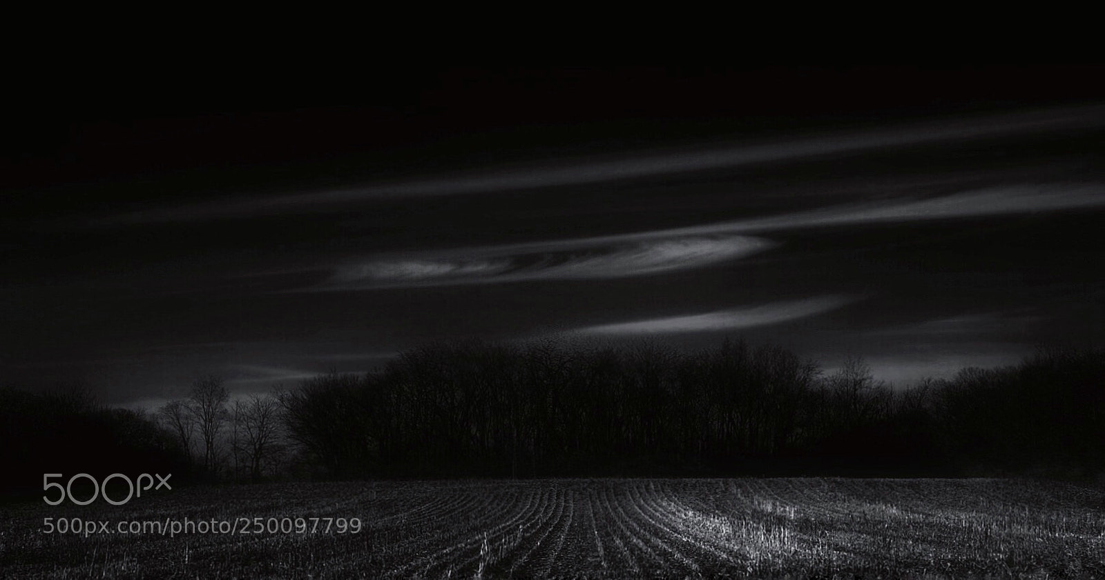 Sony a7 II sample photo. Haunted field in low photography