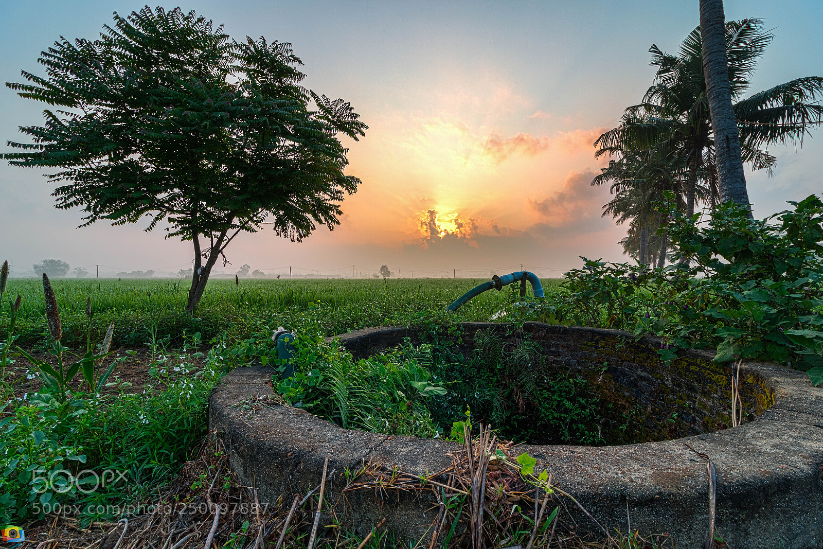 Canon EOS 70D sample photo. Landscape of cultivation land photography