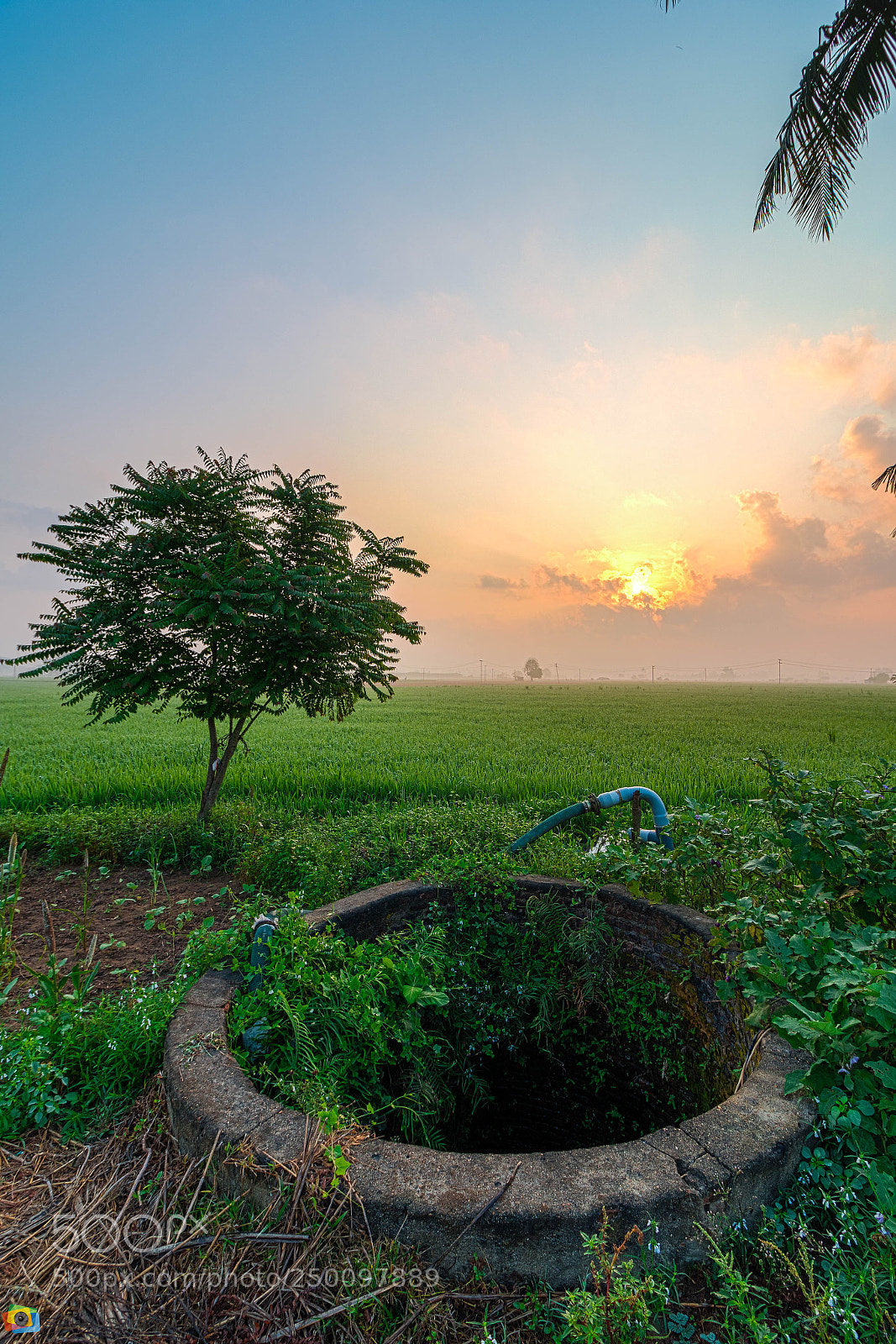 Canon EOS 70D sample photo. Portrait landscape of cultivation photography