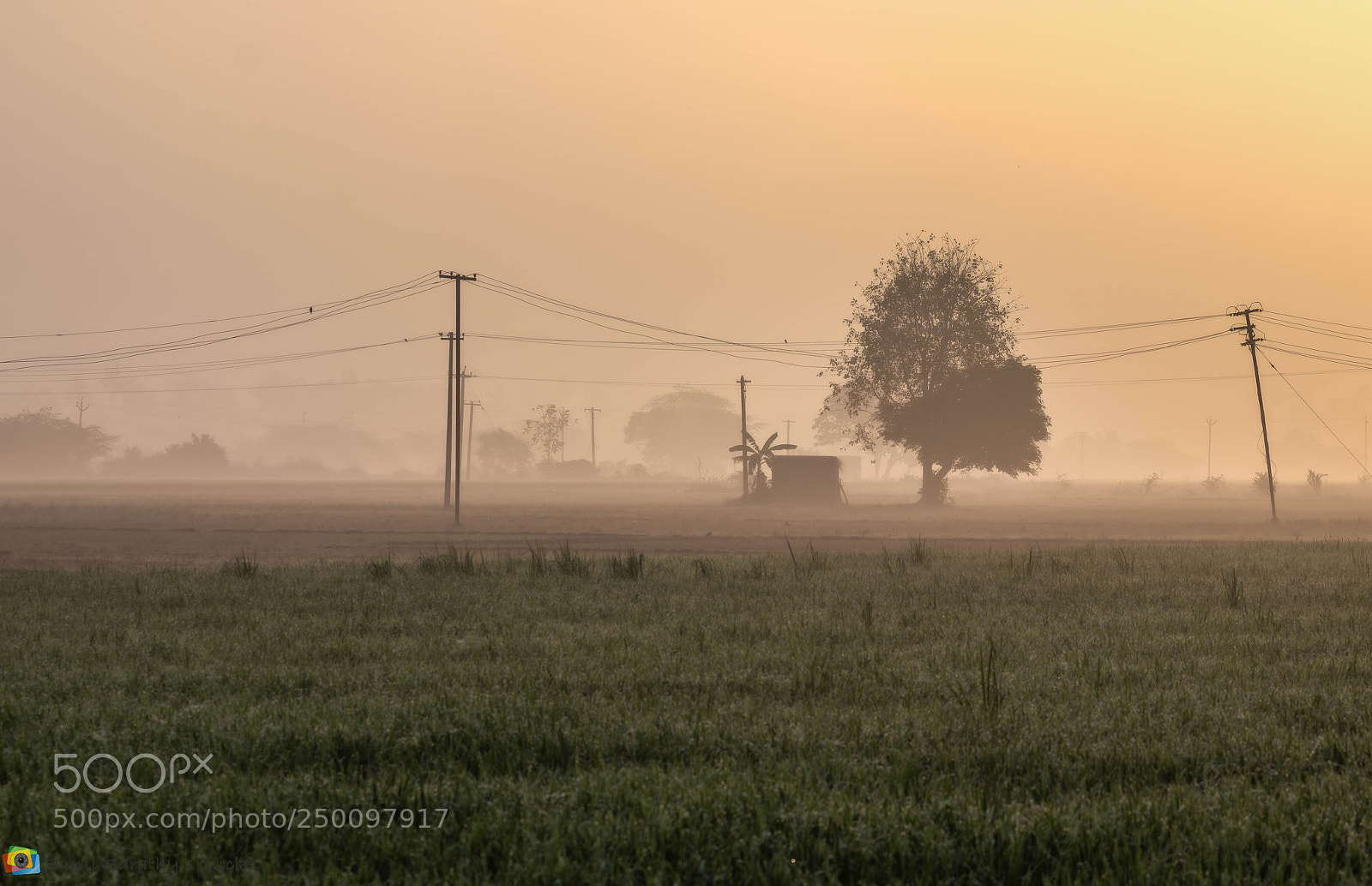 Canon EOS 70D sample photo. Misty village scene photography