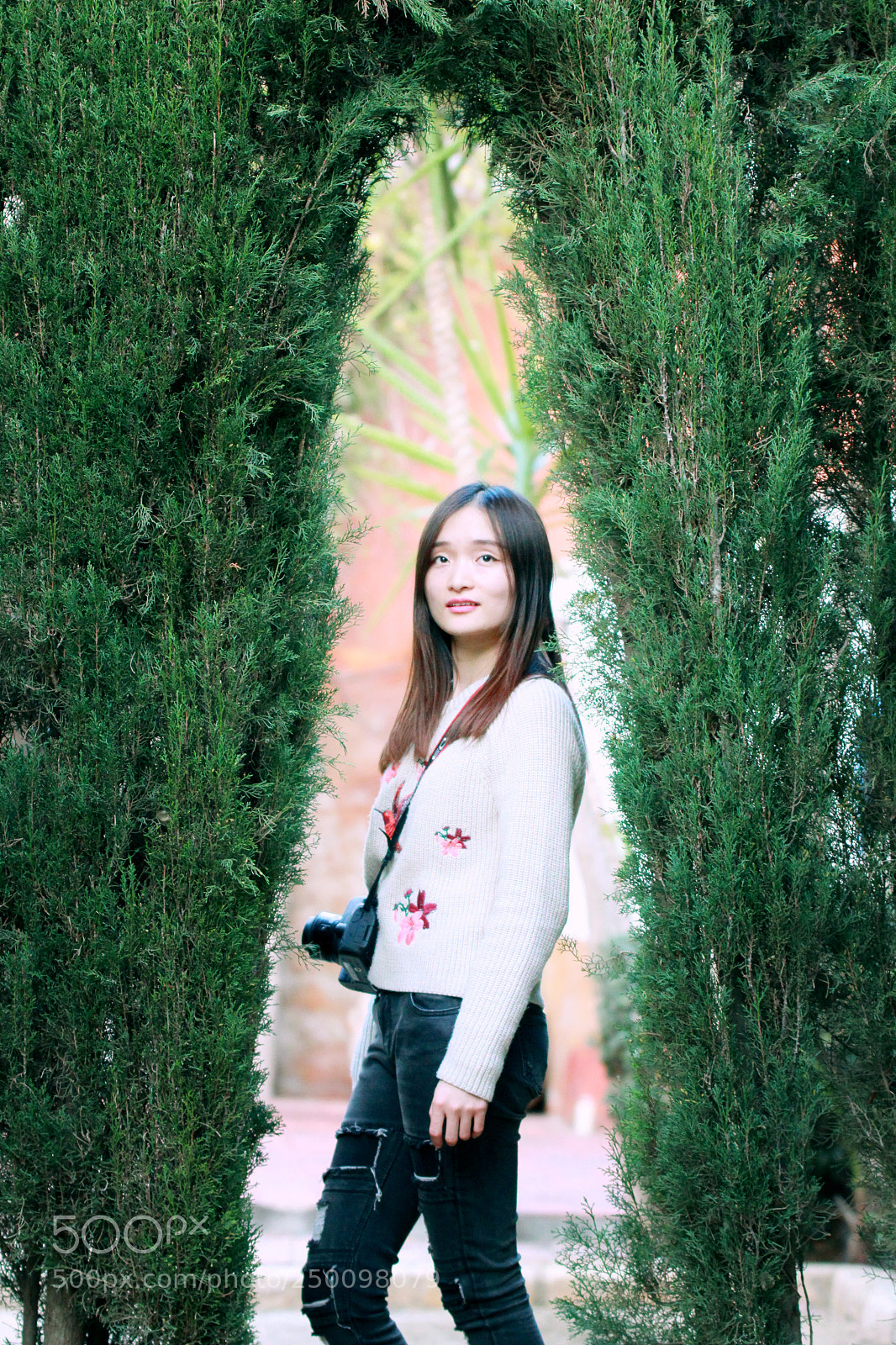 Canon EOS 550D (EOS Rebel T2i / EOS Kiss X4) sample photo. 思念中 missing photography