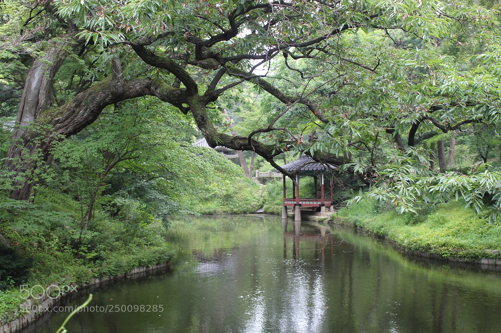 Canon EOS 700D (EOS Rebel T5i / EOS Kiss X7i) sample photo. Green pond photography