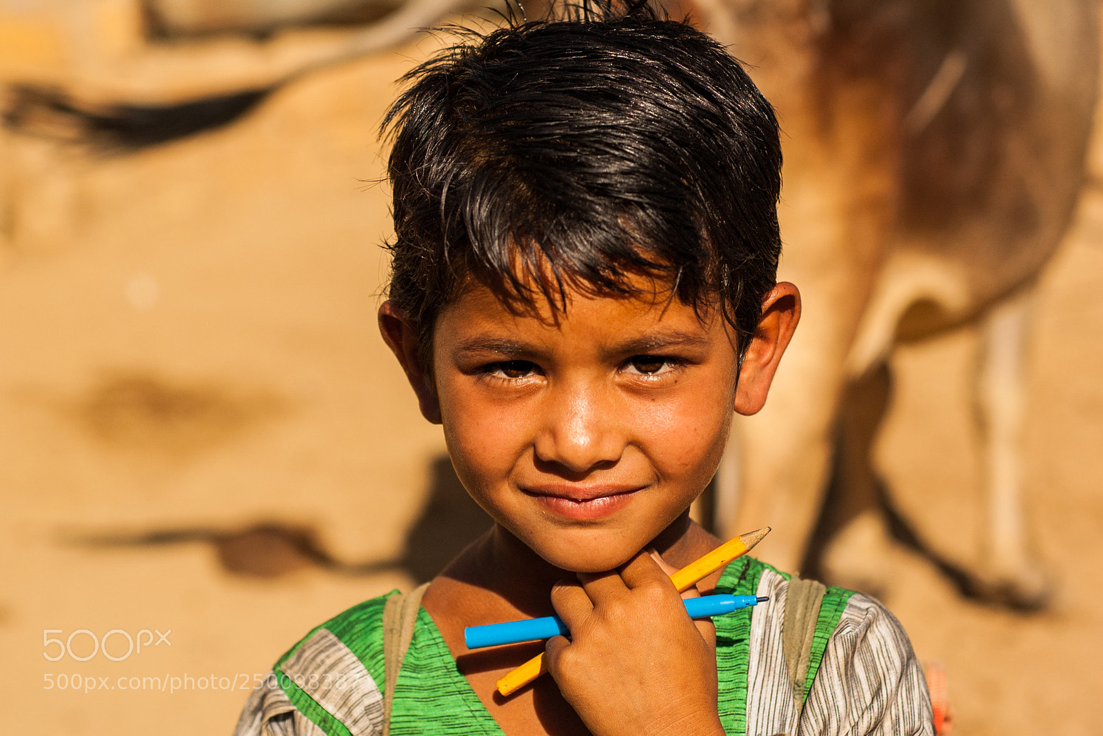 Nikon D50 sample photo. Indian portraits photography