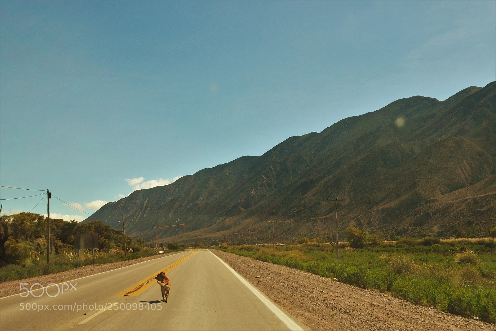 Nikon D5100 sample photo. Untitled photography
