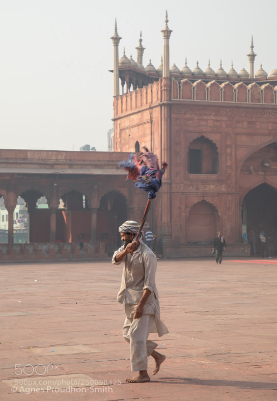 Canon EOS 5D Mark IV sample photo. Old delhi mosque photography