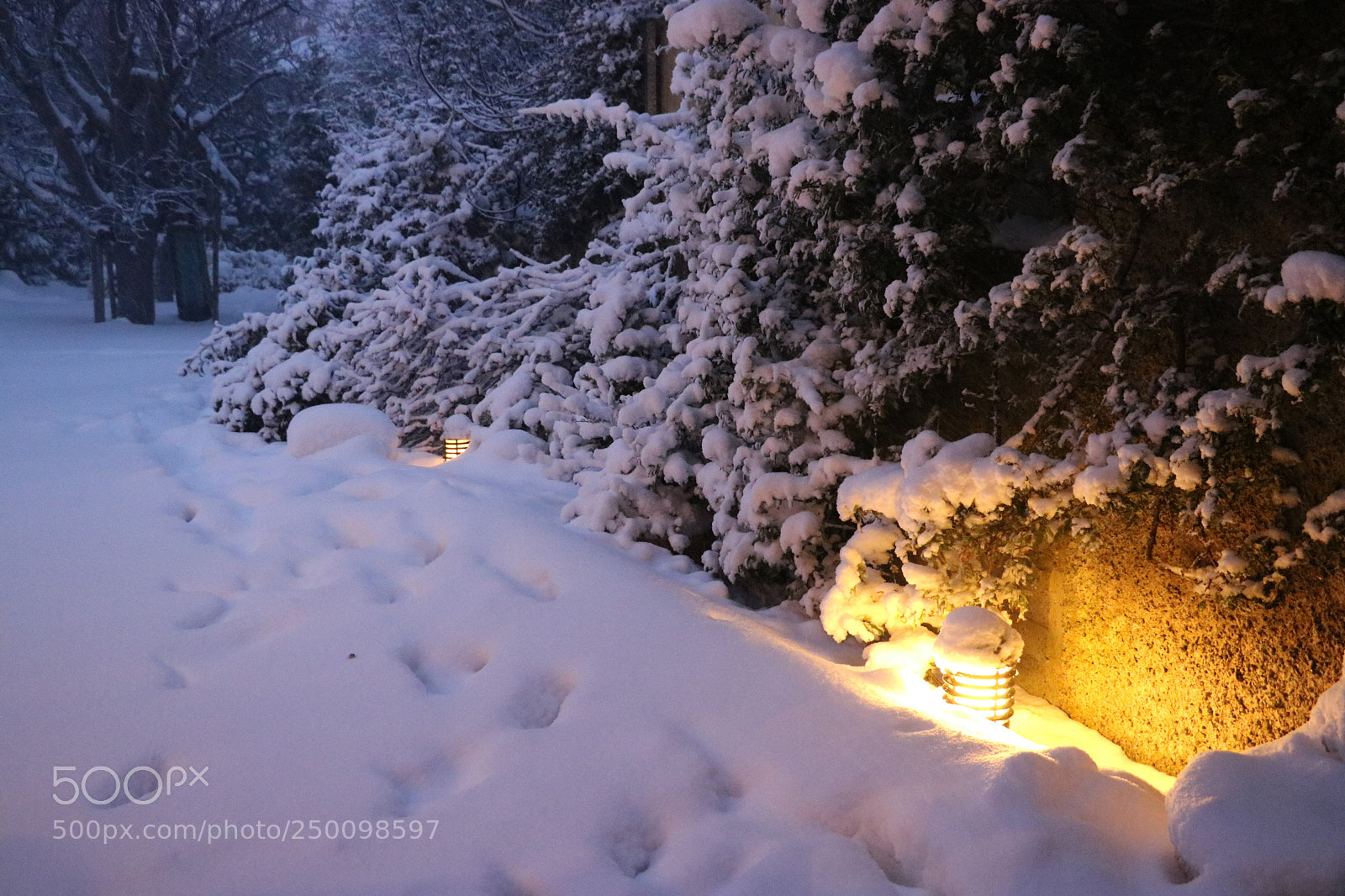 Canon EOS 760D (EOS Rebel T6s / EOS 8000D) sample photo. Warm glow photography