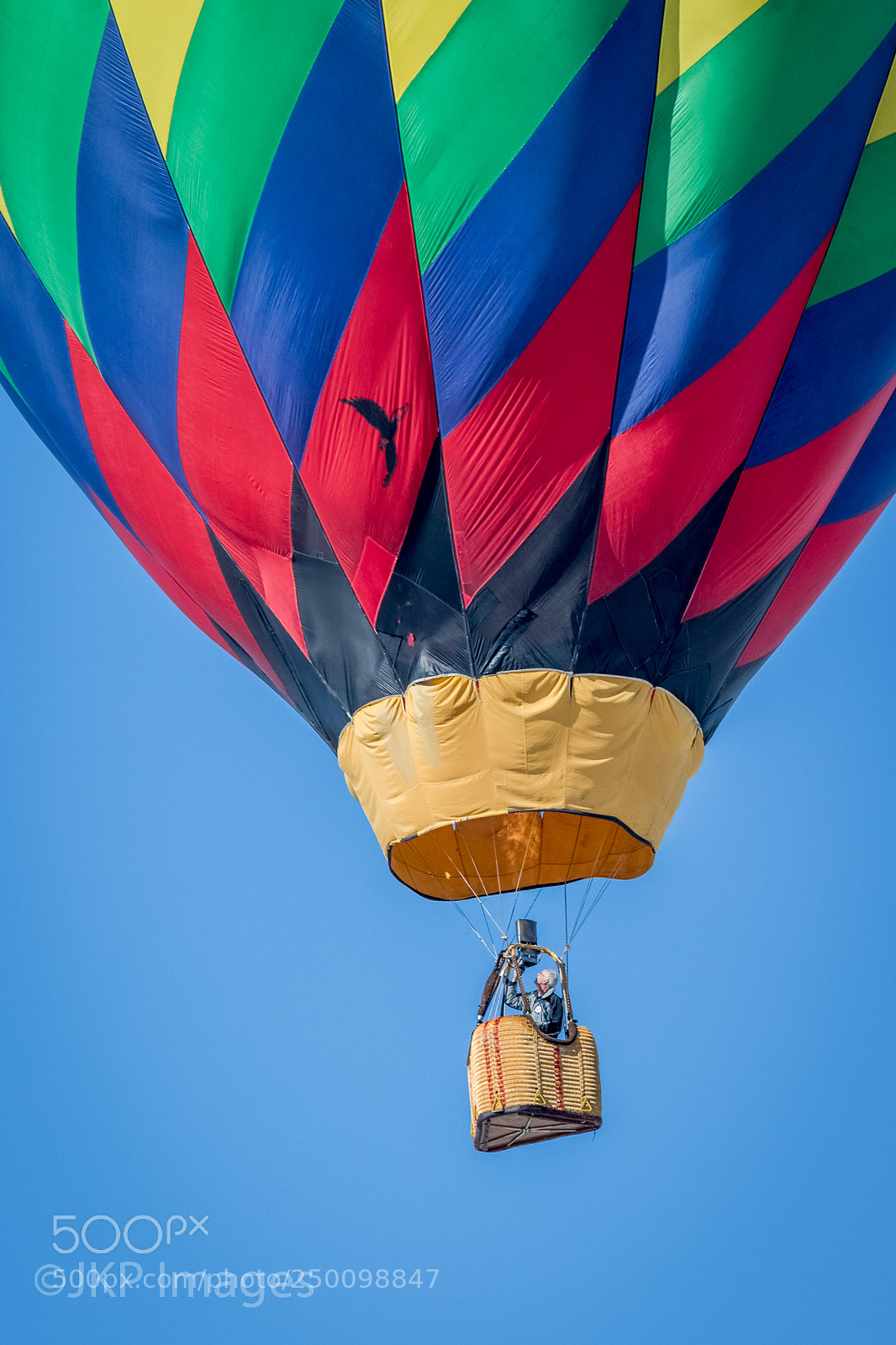 Canon EOS 7D Mark II sample photo. Up, up and away photography