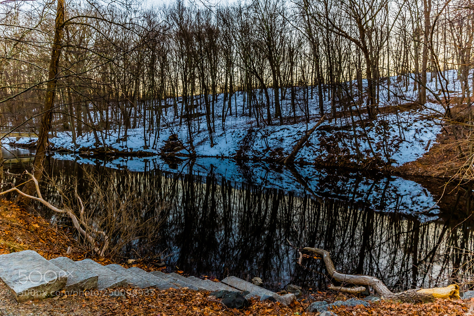 Canon EOS 750D (EOS Rebel T6i / EOS Kiss X8i) sample photo. Winter solitude photography