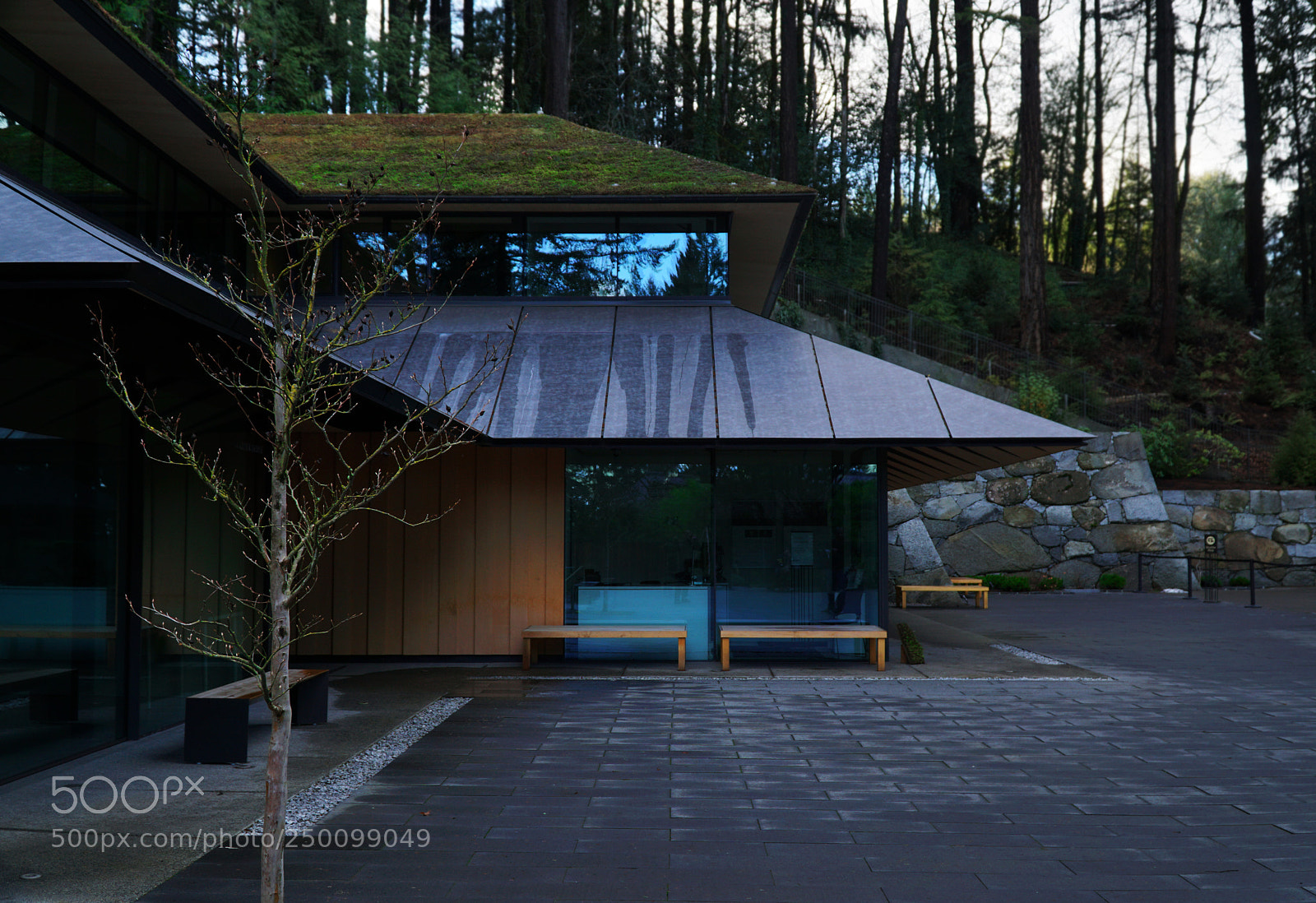 Sony a6500 sample photo. Japanese gardens photography