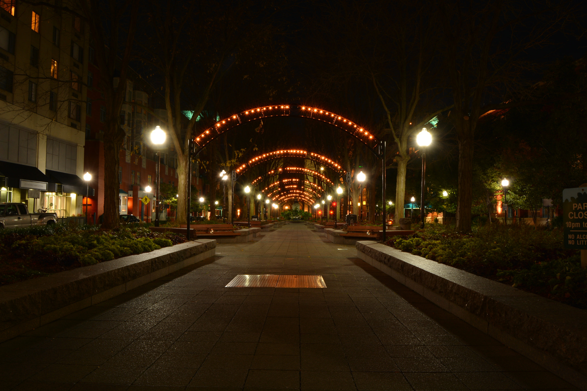 Nikon D7100 sample photo. Down the avenue photography