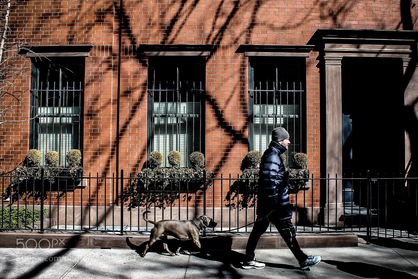Canon EOS 1300D (EOS Rebel T6 / EOS Kiss X80) sample photo. West village photography