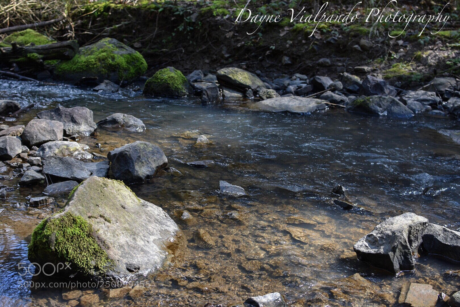 Nikon D3400 sample photo. Untitled photography