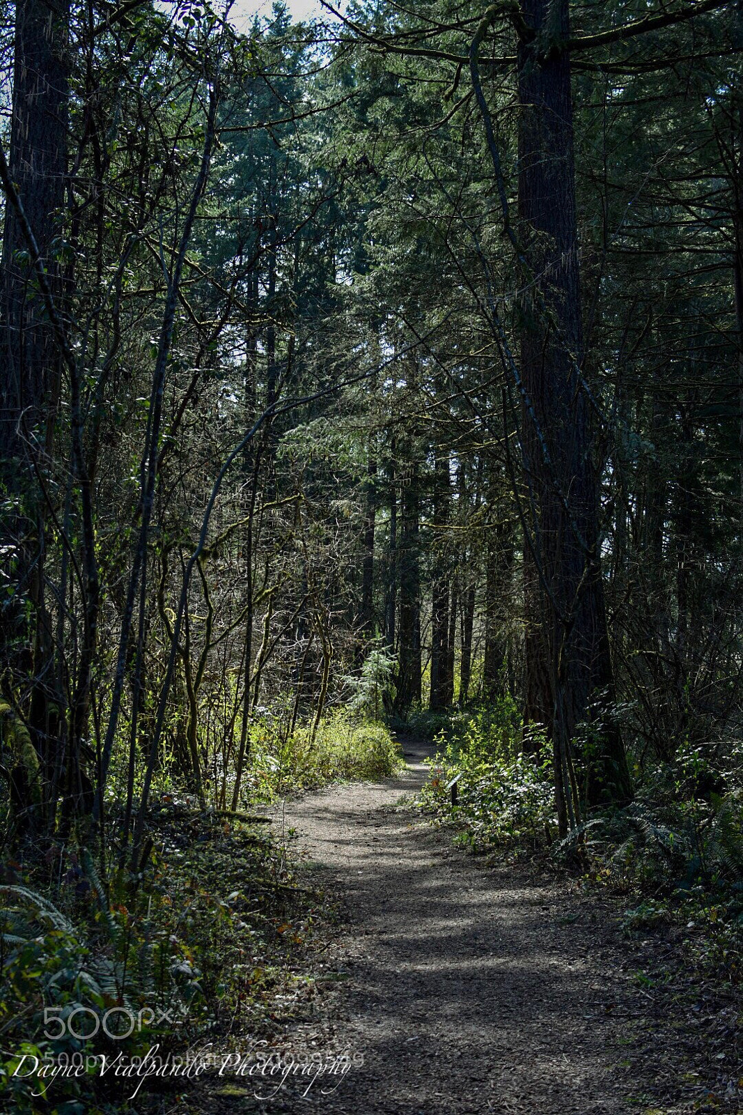 Nikon D3400 sample photo. Untitled photography