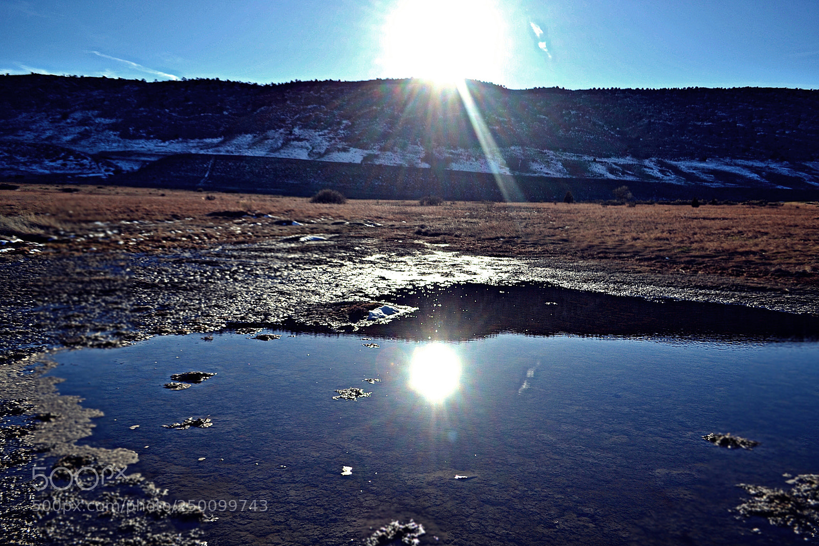 Nikon D3100 sample photo. Up or down? photography