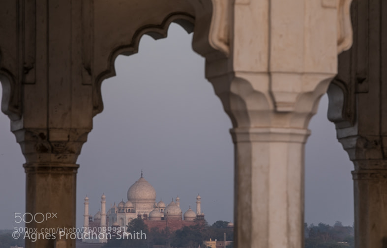 Canon EOS 5D Mark IV sample photo. Agra, india photography