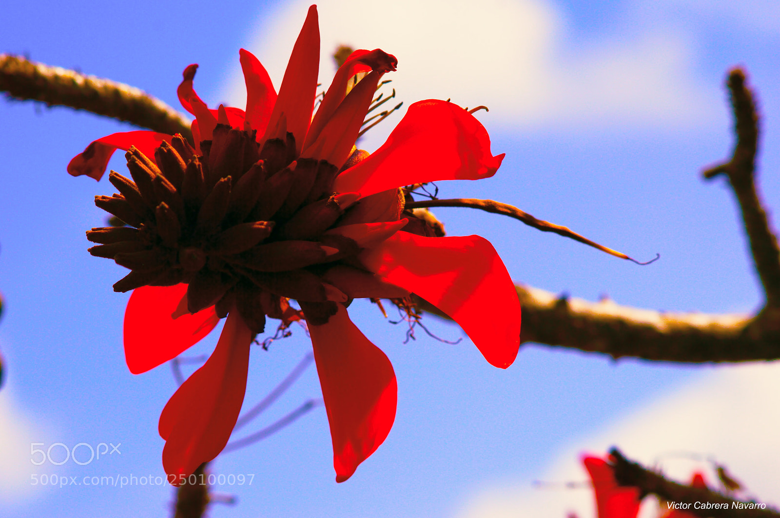 Nikon D3200 sample photo. Ry7 photography
