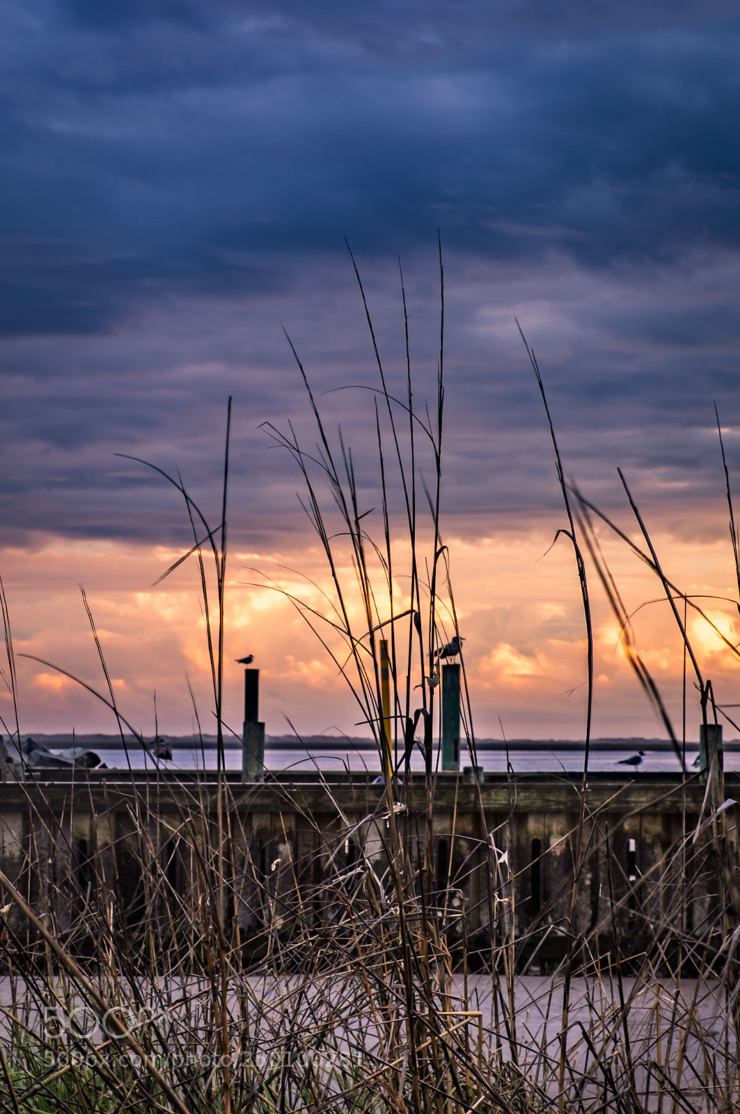 Nikon D3200 sample photo. Sunset perch photography