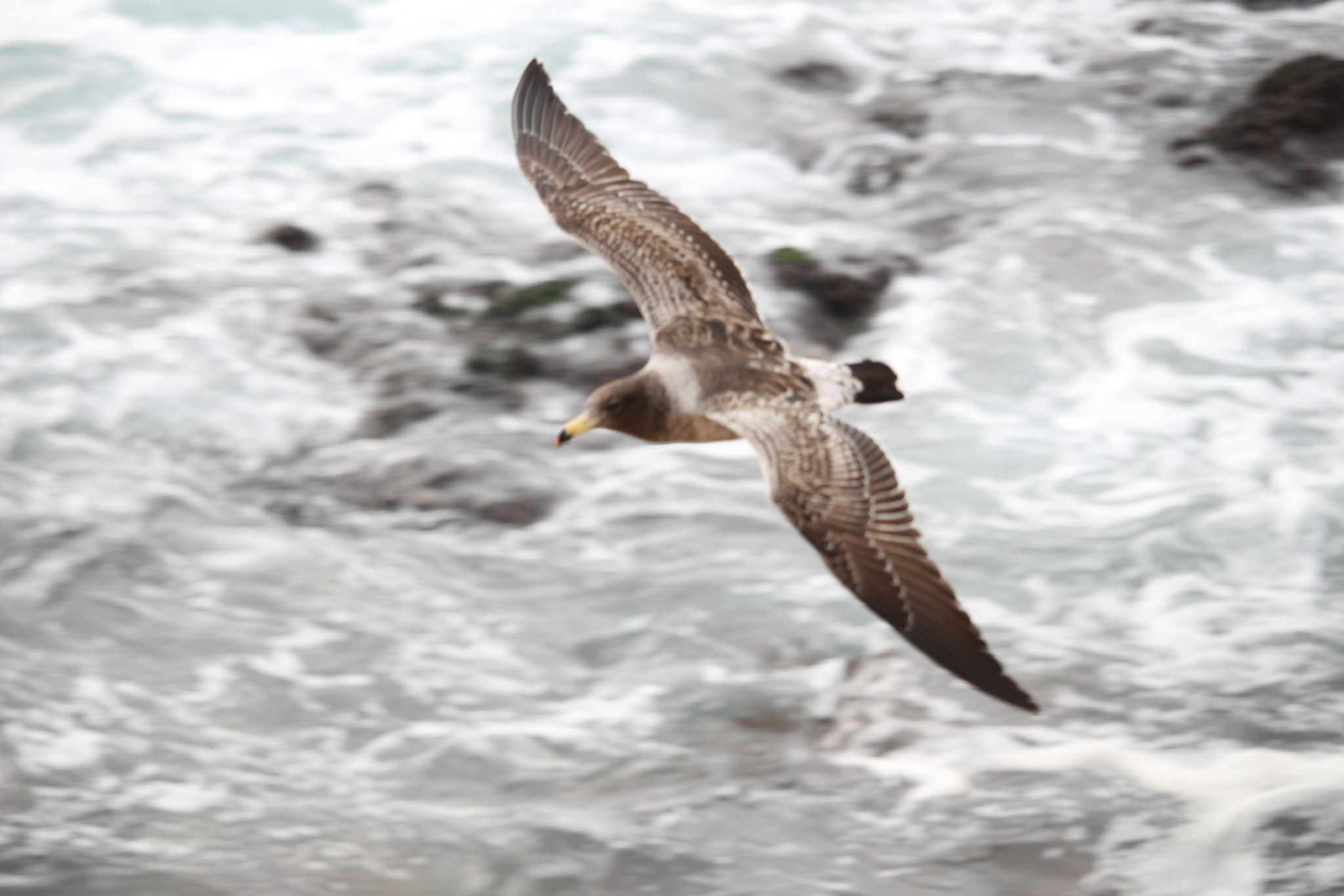Canon EF-S 55-250mm F4-5.6 IS STM sample photo. Power... photography