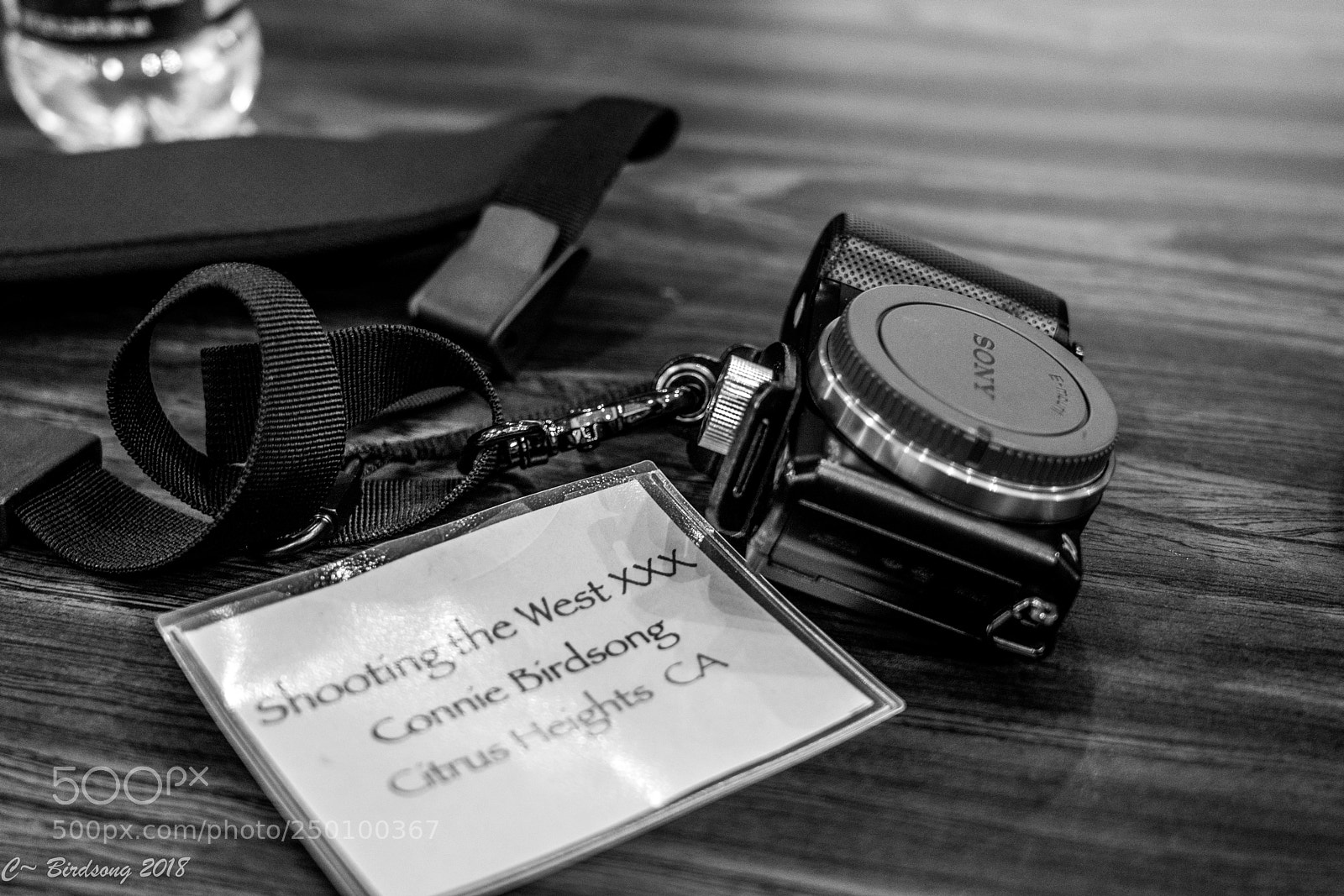 Sony a7R III sample photo. Dsc00025-2.jpg photography