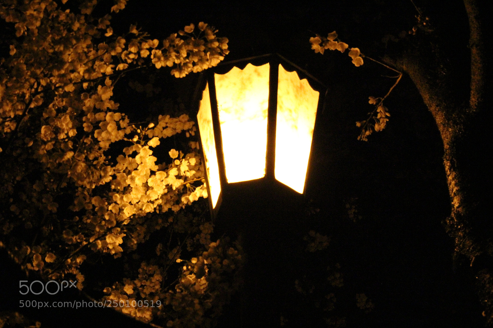 Canon EOS 600D (Rebel EOS T3i / EOS Kiss X5) sample photo. Untitled photography