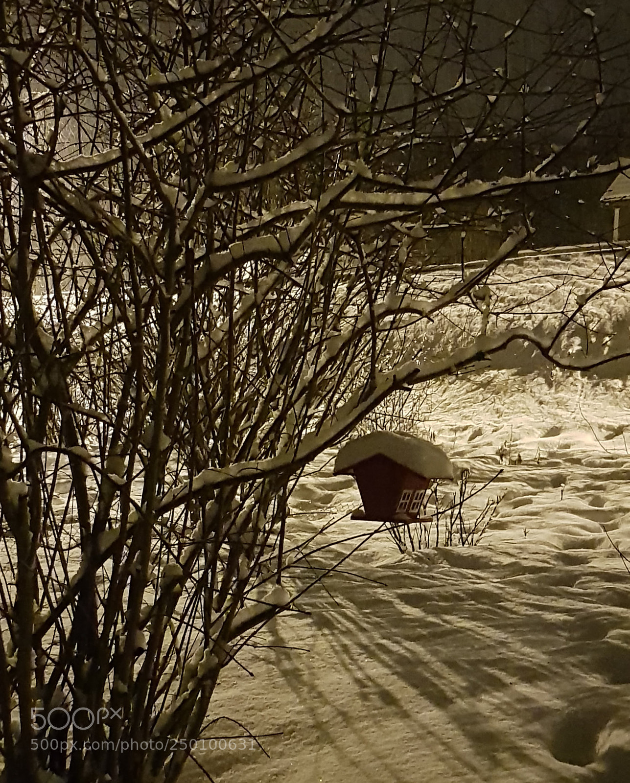 Samsung Galaxy S8 sample photo. Snowing again photography