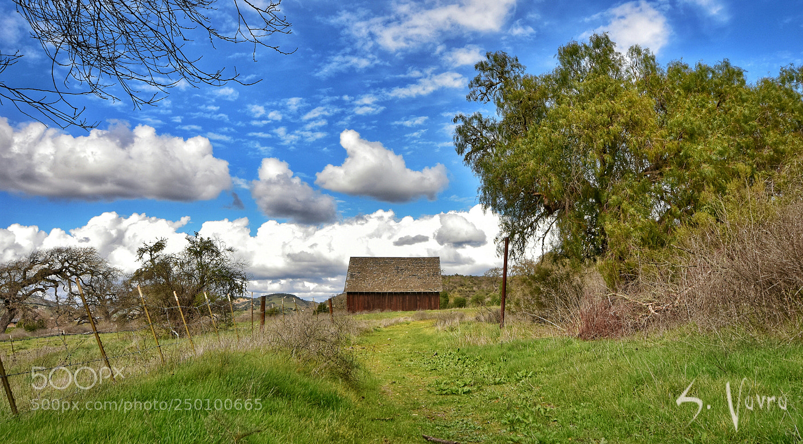 Nikon D3400 sample photo. Barn love photography
