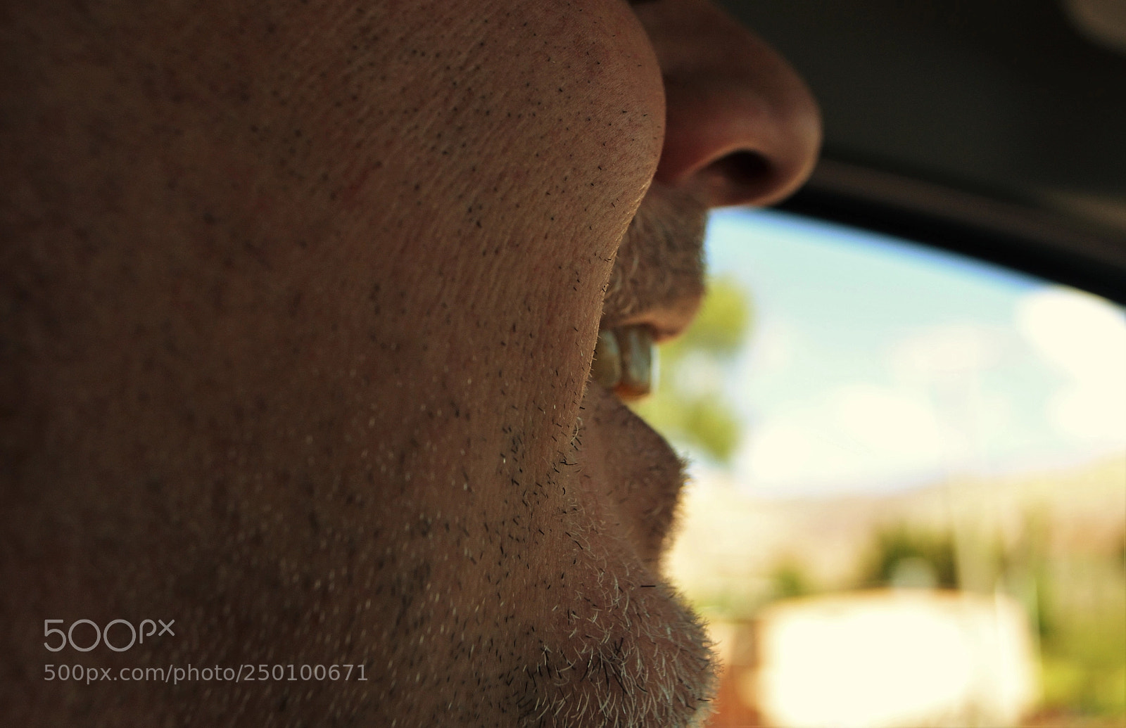 Nikon D5100 sample photo. Untitled photography