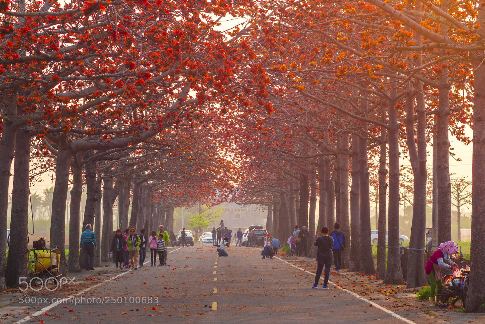 Panasonic Lumix DMC-GH4 sample photo. P2180234_1.jpg photography